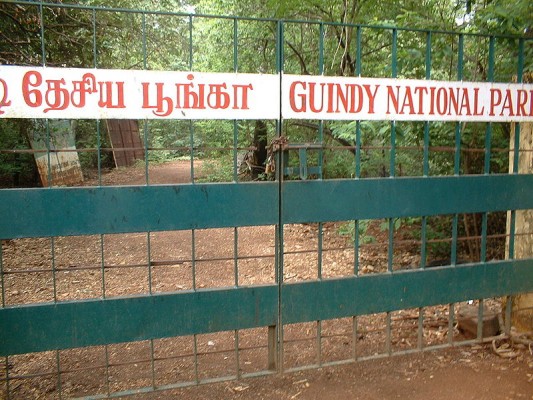 Guindy_national_park